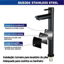 Torneira de Bacia de Água Fria Única